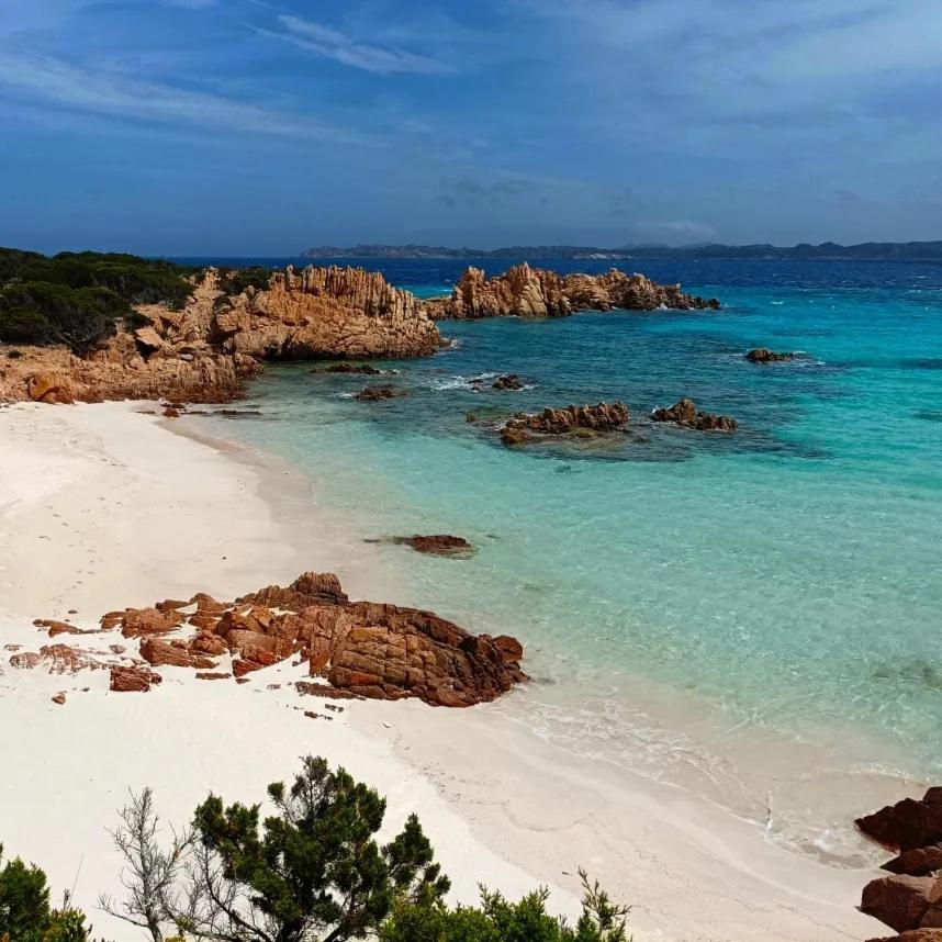L'Isola Nell'Isola - R3442 Lägenhet La Maddalena  Exteriör bild